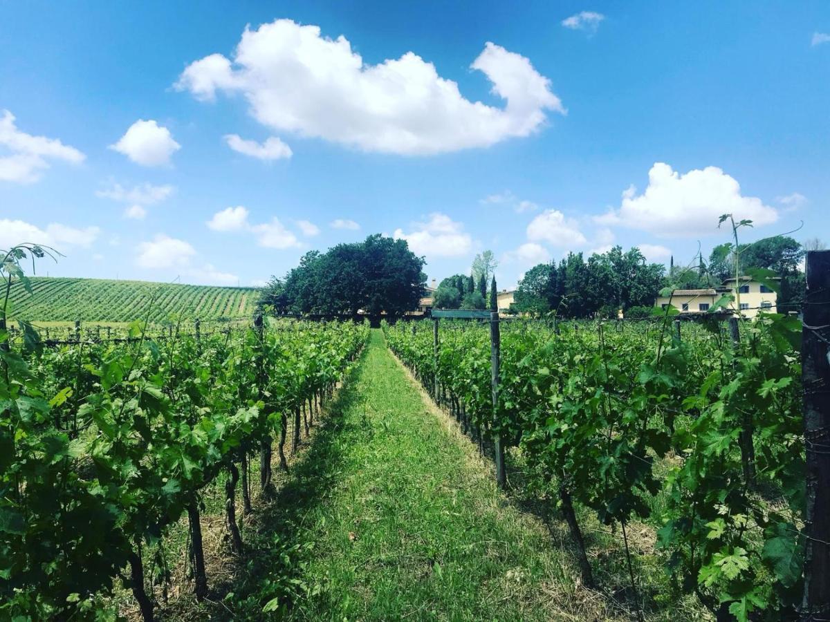 Borgo Del Gelso Bed and Breakfast Olgiata Buitenkant foto